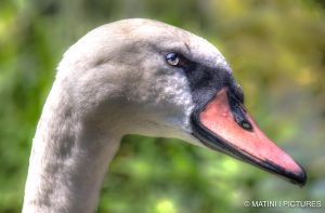 Portfolio-20120725-124954_3-2_3.jpg